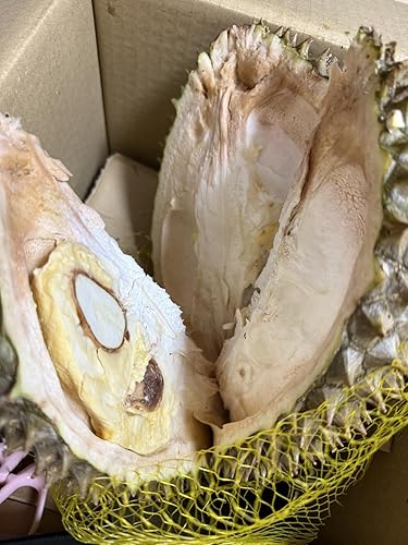 Amazon.co.jp: タイ産 ドリアン 生鮮 フレッシュ 超大 フルーツ 榴蓮